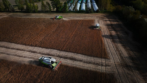 Federal Hemp Rules Could Wipe Out 225,000 Jobs, Report Warns