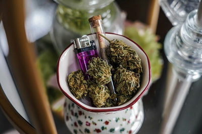 Texas Hemp Groups Sue Over Rule Counting THCA as Delta-9 THC