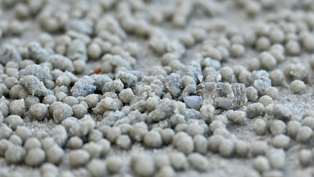 From Fiber to Filament: Will Hemp PLA Ever Beat Plastic on Price?