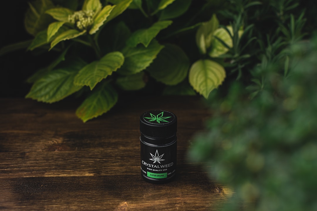Viola Founder: Hemp Ban Confusion Is Crushing Compliant Companies