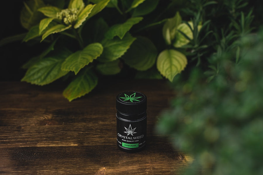 Viola Founder: Hemp Ban Confusion Is Crushing Compliant Companies
