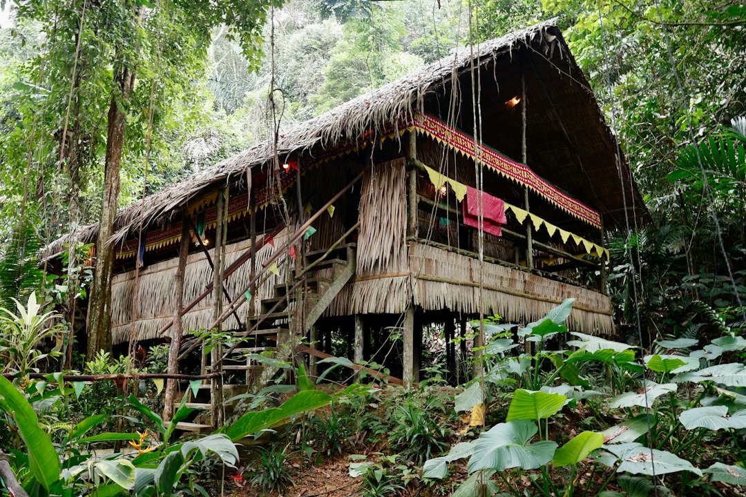 Why Sarawak Can't Legally Grow Hemp -- Even If It Wanted To