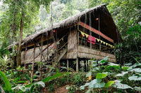 Why Sarawak Can't Legally Grow Hemp -- Even If It Wanted To