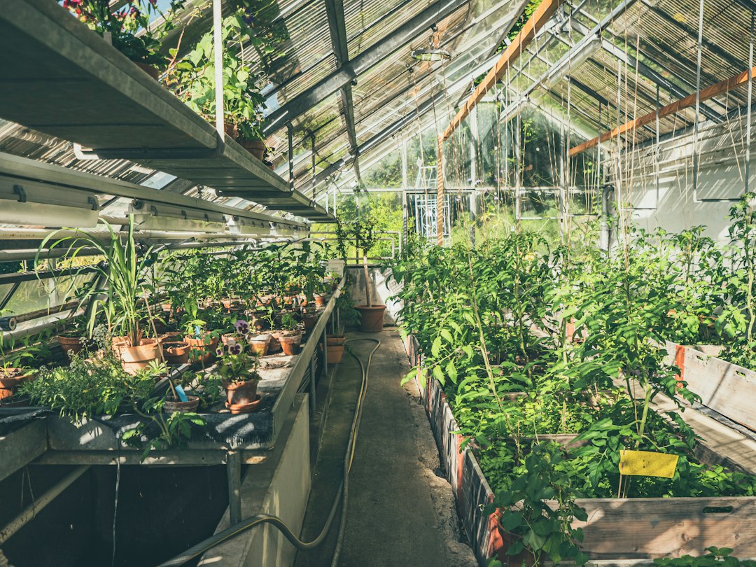 Why LED Driver Shortages Could Slow Indoor Cannabis Cost Curves