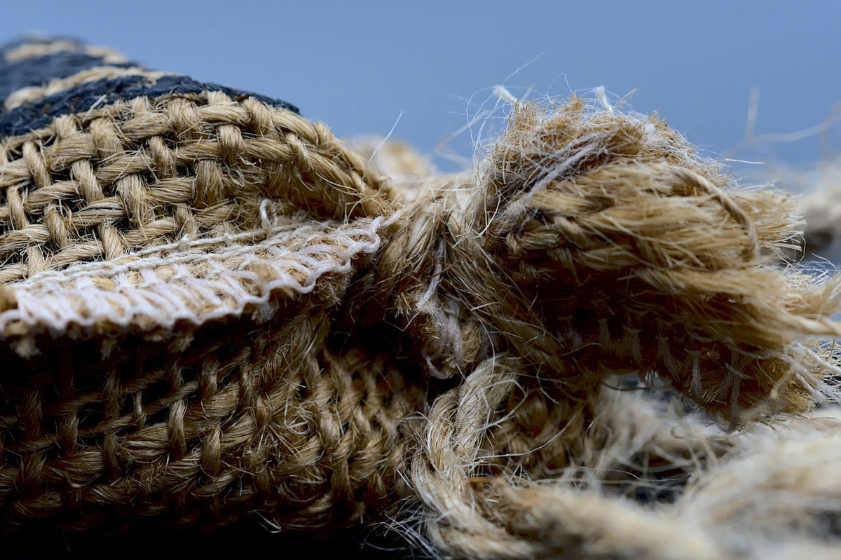 Whole-Plant Hemp Biorefineries: Making Every Fiber Fraction Pay