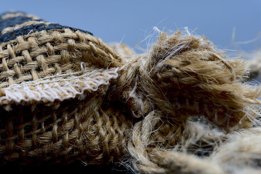 Whole-Plant Hemp Biorefineries: Making Every Fiber Fraction Pay