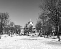 MA Voters Reject Marijuana Repeal Measure, Poll Finds