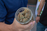 VA Medical Marijuana Patient Survey Probes Recreational Impact