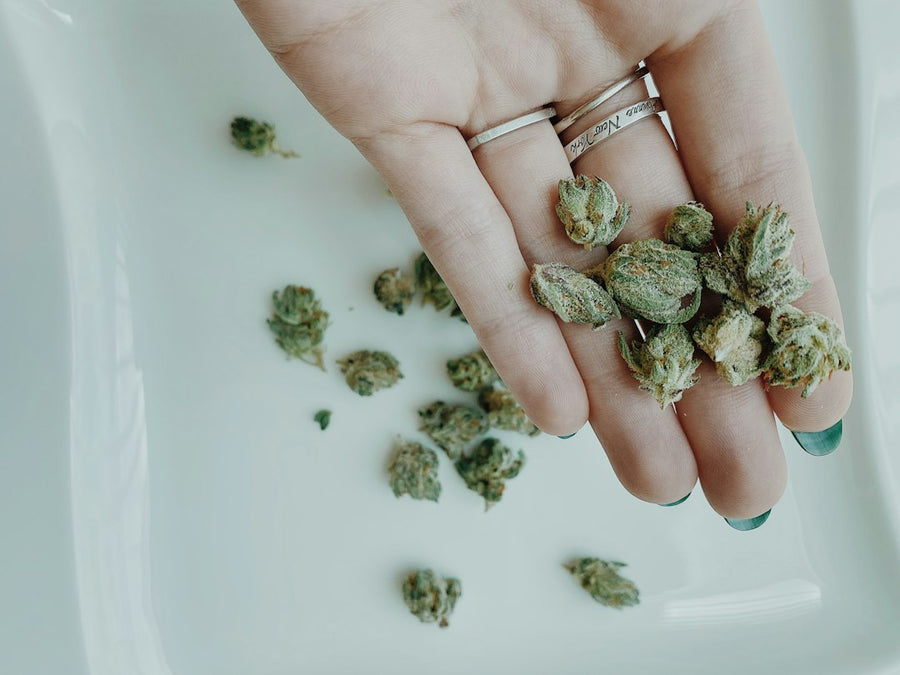U.S. Medical Marijuana Patients Near 4 Million, New Study Finds