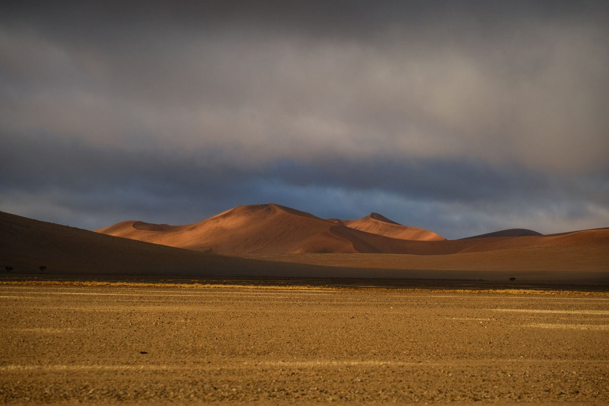 San Knowledge, Colonial Law: Namibia's Cannabis Crossroads