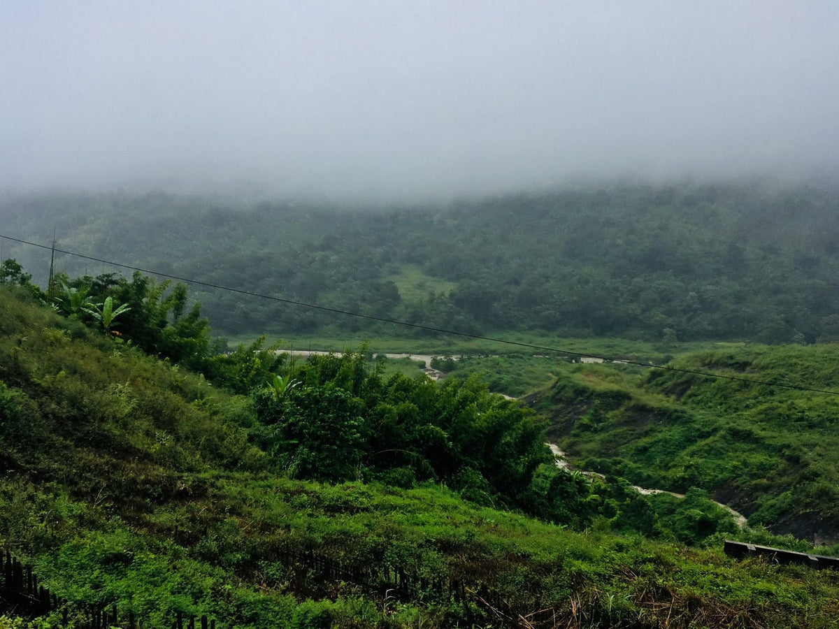 Naga and Mizo Cannabis Custom vs. India's Drug Law