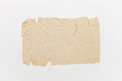 Before Wood Pulp: The 2,000-Year Reign of Hemp Paper