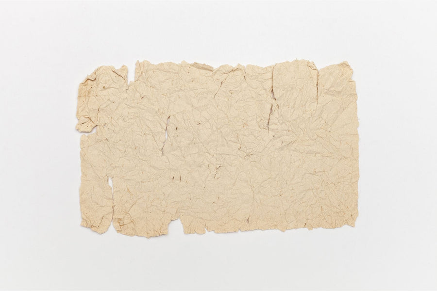 Before Wood Pulp: The 2,000-Year Reign of Hemp Paper
