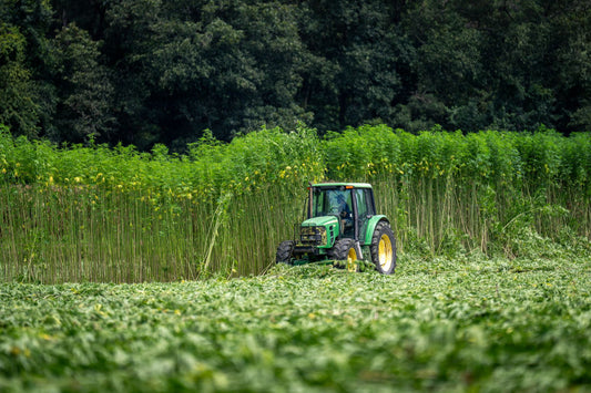 Why Hemp and Marijuana Businesses Need One Framework