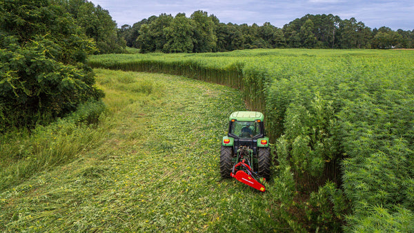 China's Hemp Empire: How Two Provinces Feed the World
