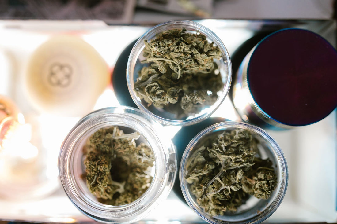 Georgia's Medical Cannabis Program Takes a Big Step Forward
