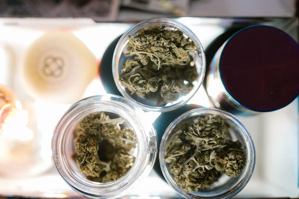 Georgia's Medical Cannabis Program Takes a Big Step Forward