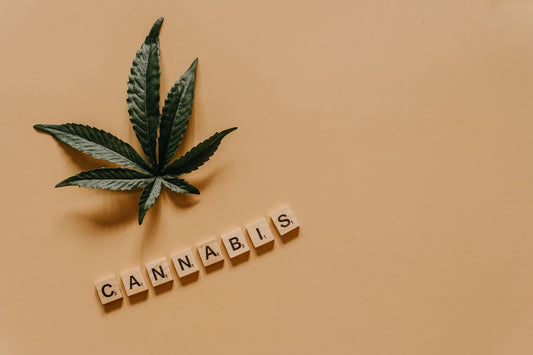 Federal Judge Questions Marijuana-Gun Ban, Cites Legalization