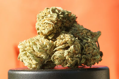Israel's Cannabis Exports Hinge on Inspection Capacity