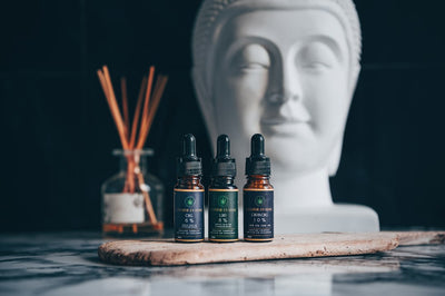 Taiwan CBD Import Rules: What Is and Isn't Confirmed