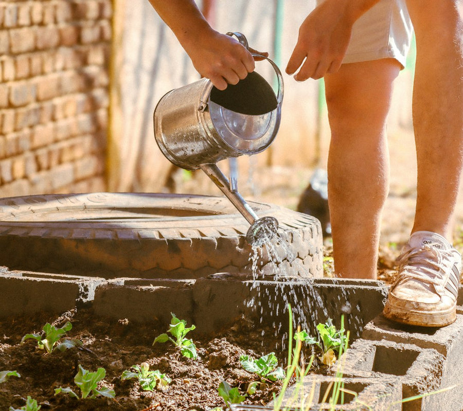 Chlorine &amp; Chloramine in Tap Water: Do They Really Kill Germination?