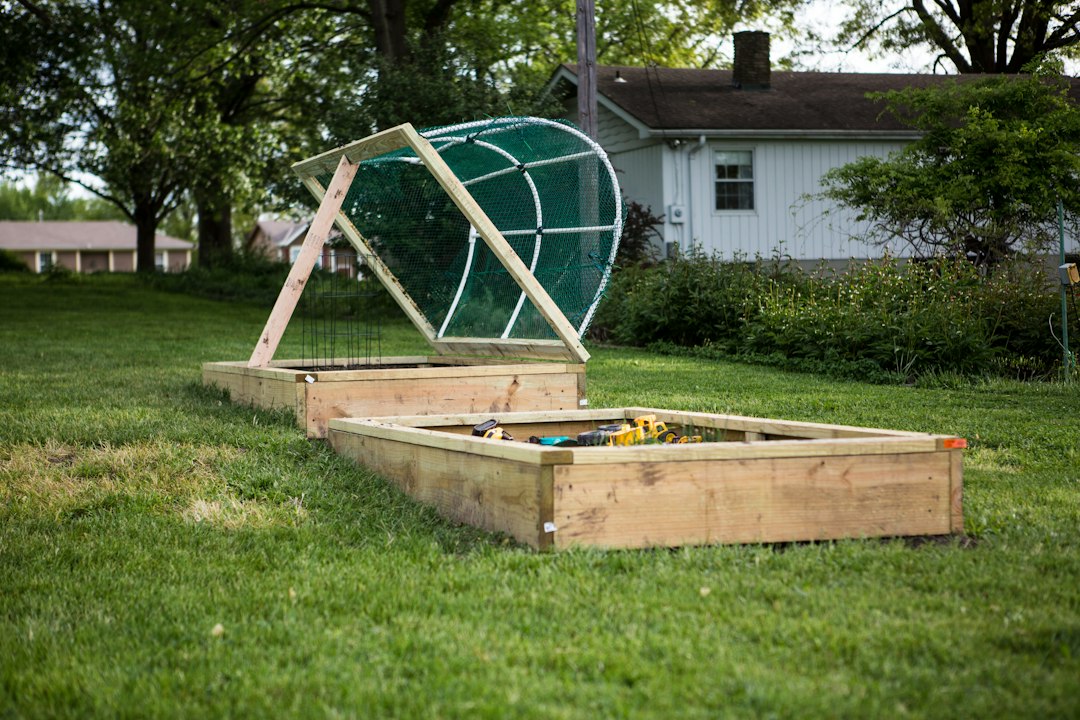Best Raised Bed Sizes for Giant Outdoor Cannabis Plants