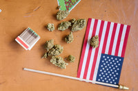 Barbados's Sacrament Cannabis Licence: Why No One Has Ever Gotten One