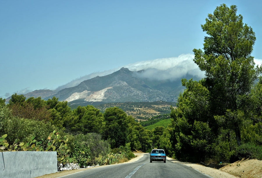 Morocco's Kif Tradition: From Rif Hillsides to Global Hashish Market
