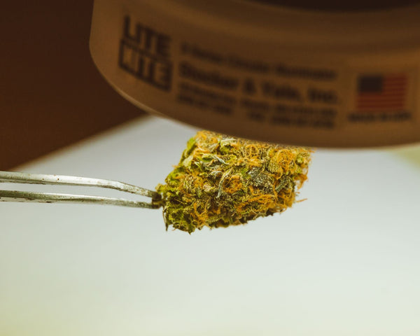 Home Solventless Extraction: What's Realistic, What's Not