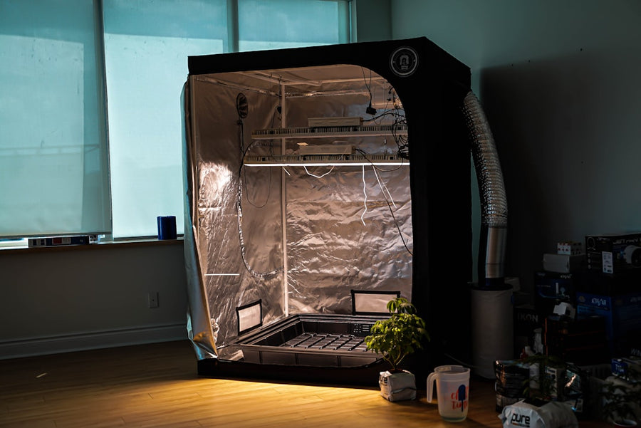 Small Grow Box Setups: Minimizing Watts, Maximizing Yield