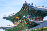 Inside South Korea's Strict, Expanding Cannabis Crackdown