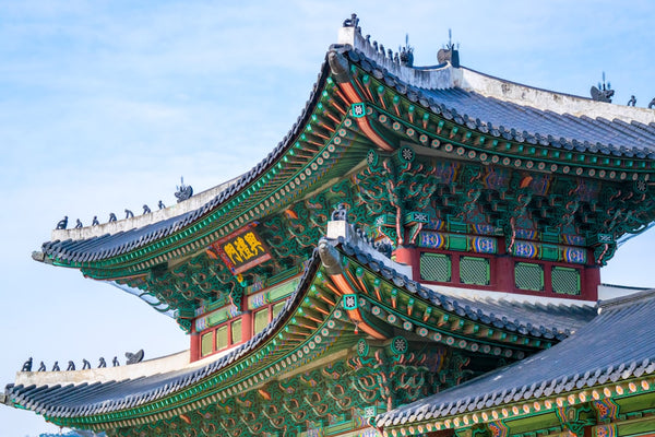 Inside South Korea's Strict, Expanding Cannabis Crackdown