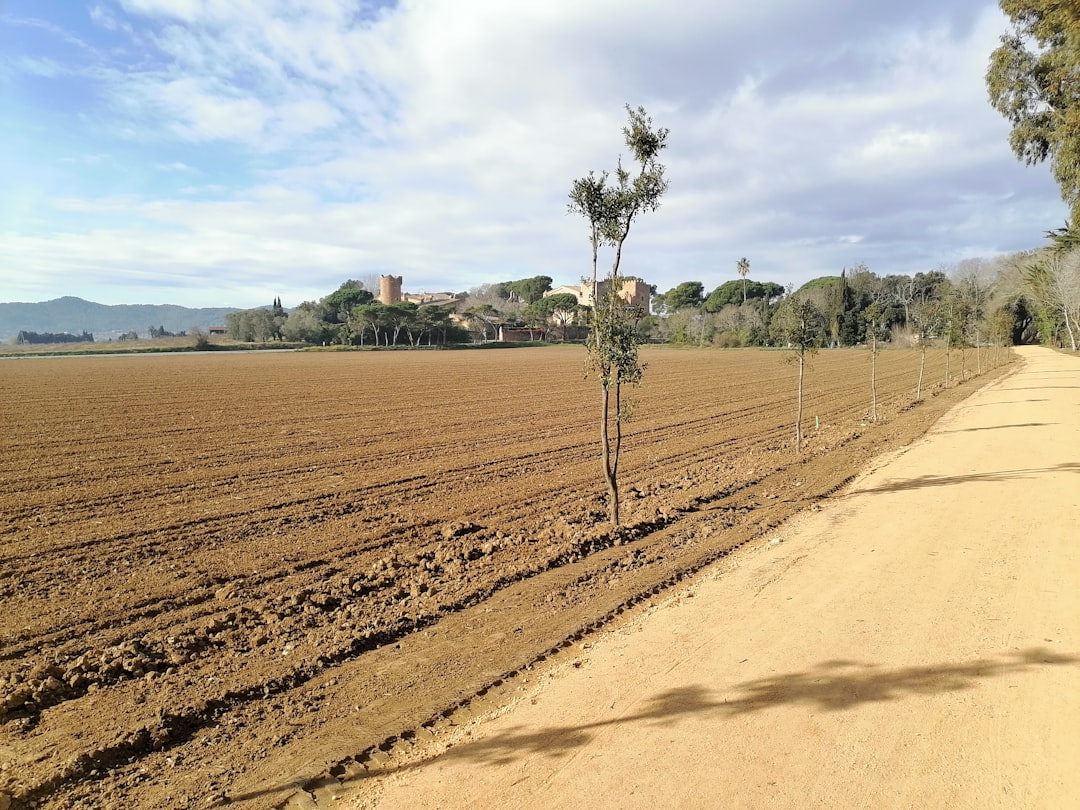 Staking & Support Systems for Heavy Outdoor Colas