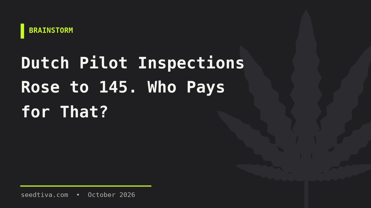 Dutch Pilot Inspections Rose to 145. Who Pays for That?