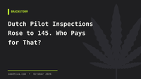 Dutch Pilot Inspections Rose to 145. Who Pays for That?