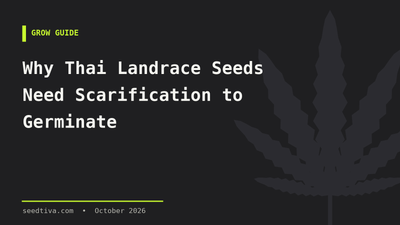 Why Thai Landrace Seeds Need Scarification to Germinate