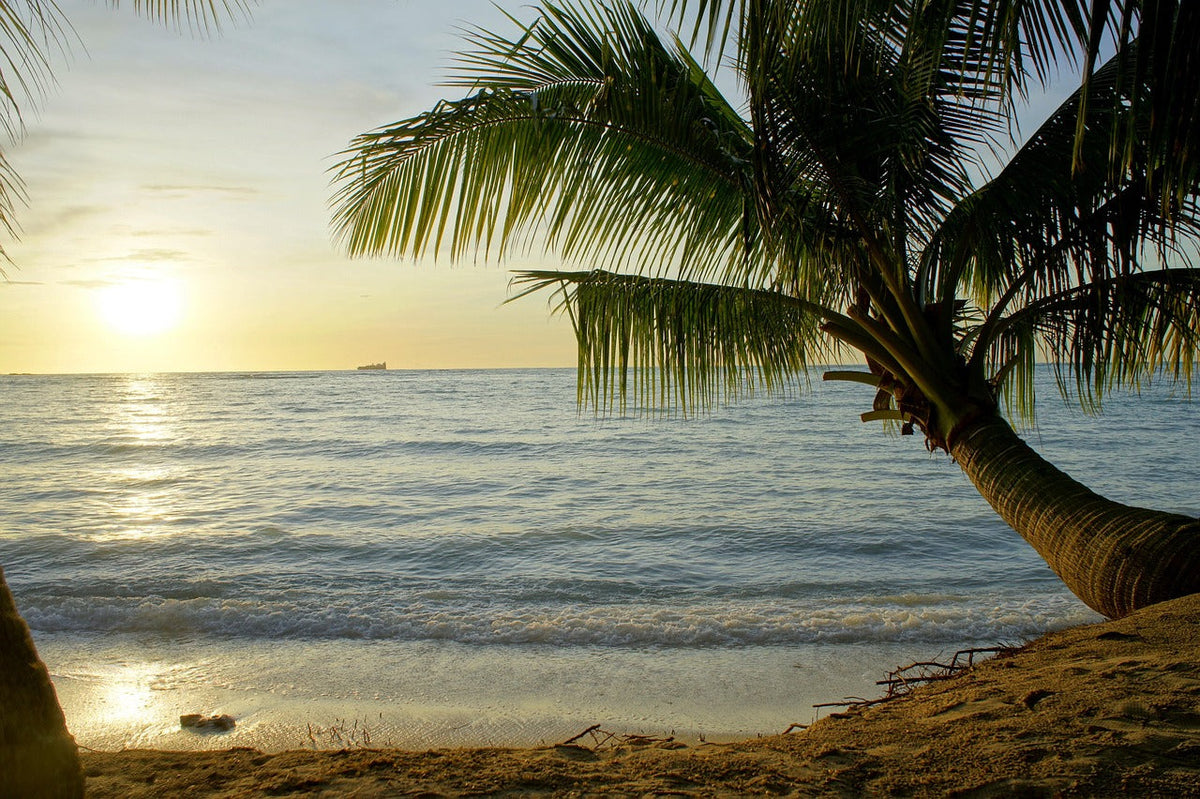 Vanuatu's Cannabis Export Gamble and the Pacific's Policy Vacuum
