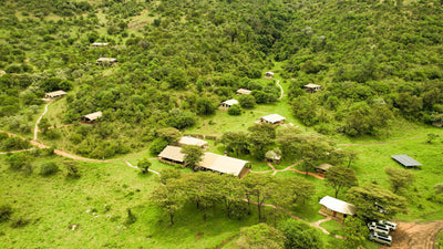 Uganda's Cannabis Boom Leaves the Batwa Behind