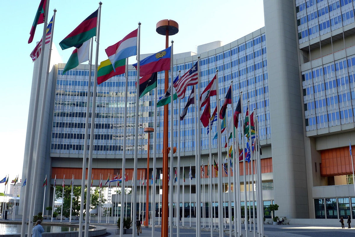 The UN Treaty Bottleneck: Cannabis's Long Road Out of Schedule I