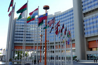 The UN Treaty Bottleneck: Cannabis's Long Road Out of Schedule I