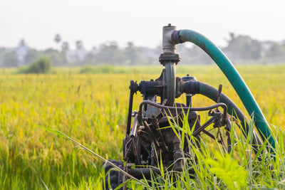 Elevated Lead on Your COA? Why Your Well Is the First Suspect