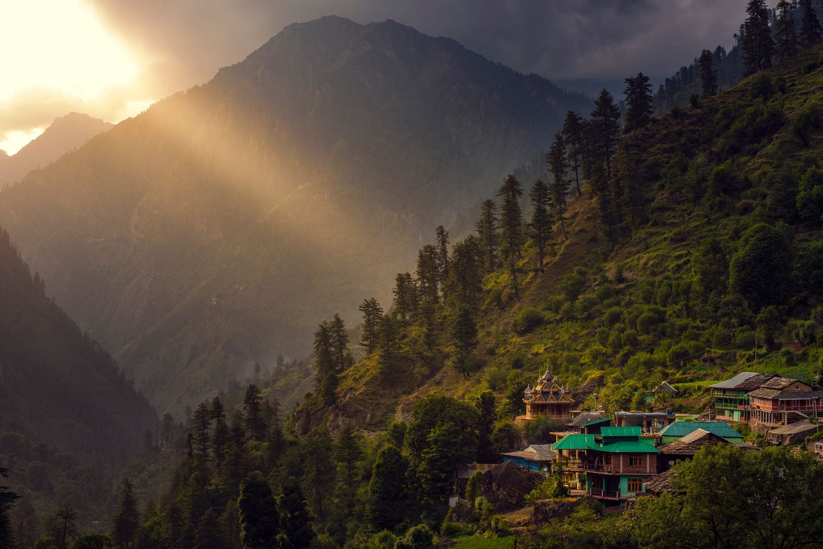 Pig Feed and Ditchweed: Bhutan and Sikkim's Shared Wild Cannabis Story