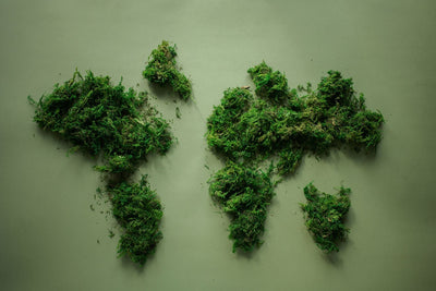 Why the WHO's ECDD Could Reshape THC Isomer Law Worldwide