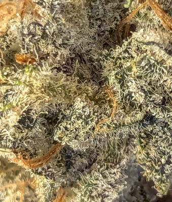 Close-up of a textured surface with green and brown colors