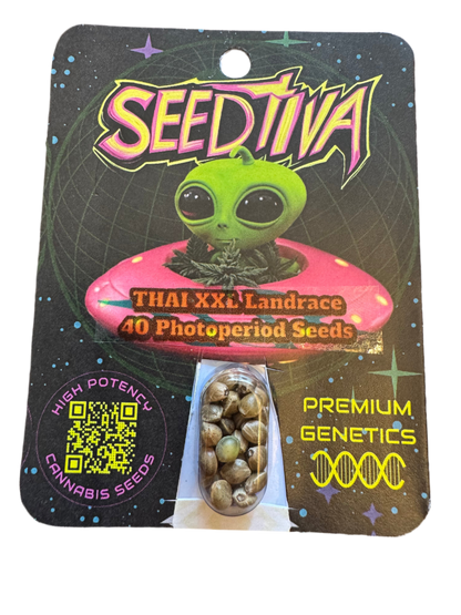 Wholesale 10 Packs Landrace Cannabis Seeds (40 seeds per pack) Anti-theft Packaging with Seed Display Bubble
