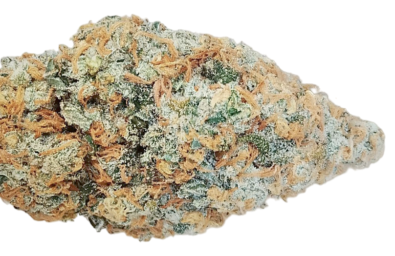 Double Bubble Donkey Fart OG Feminized Single Seed