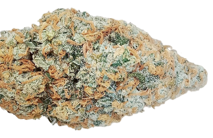 Close-up of a cannabis bud with green and orange colors on a white background