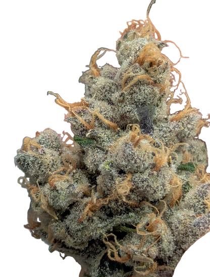 Close-up of an exotic potent cannabis bud with trichomes on a white background