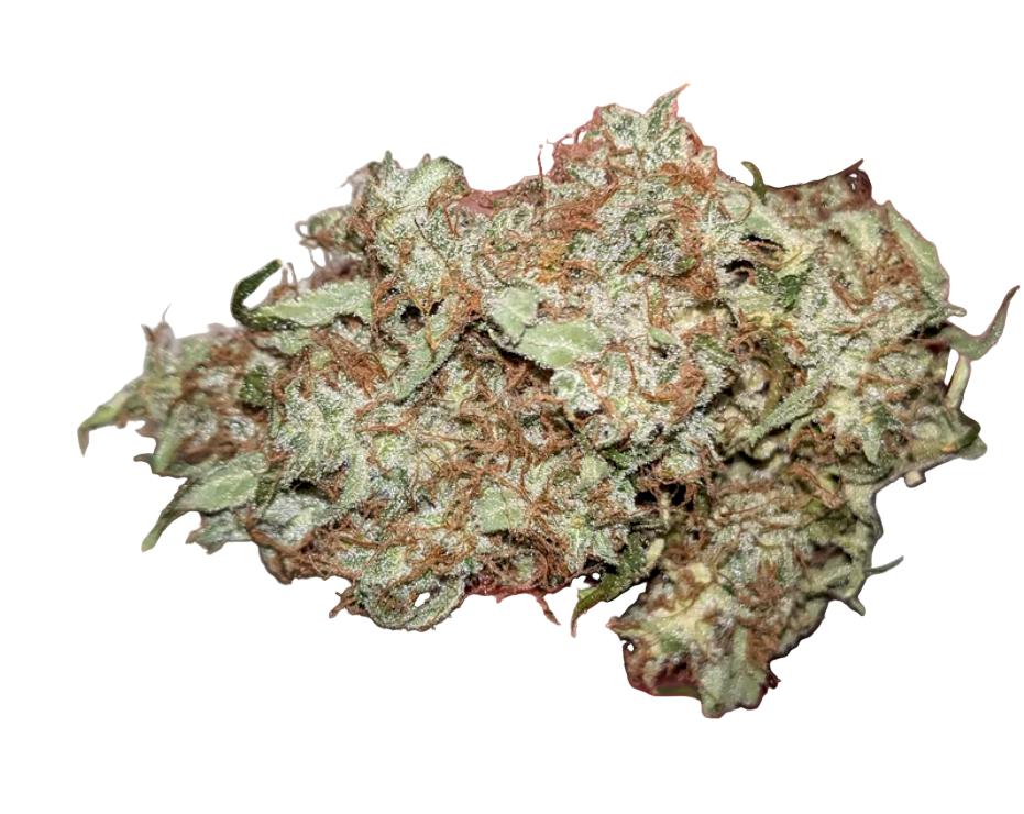 Close-up of a cannabis bud on a white background