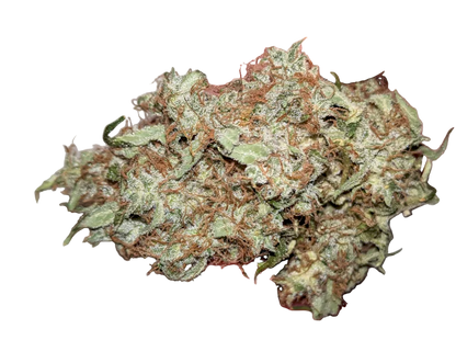 Close-up of a cannabis bud on a white background